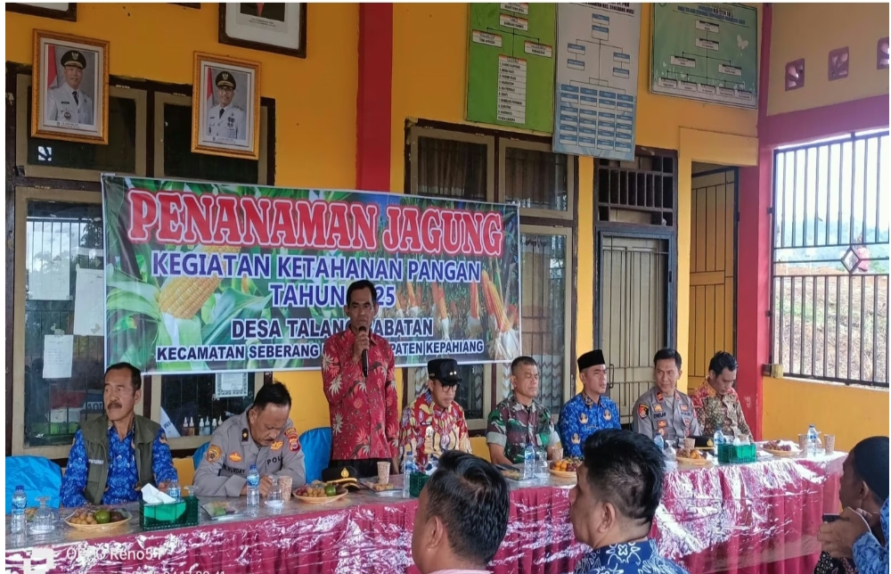 Ketahanan Pangan Desa Talang Babatan Menanam Jagung